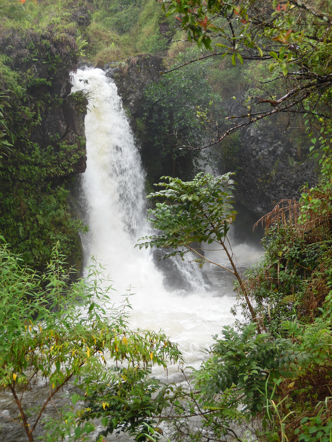 Hana road water falls